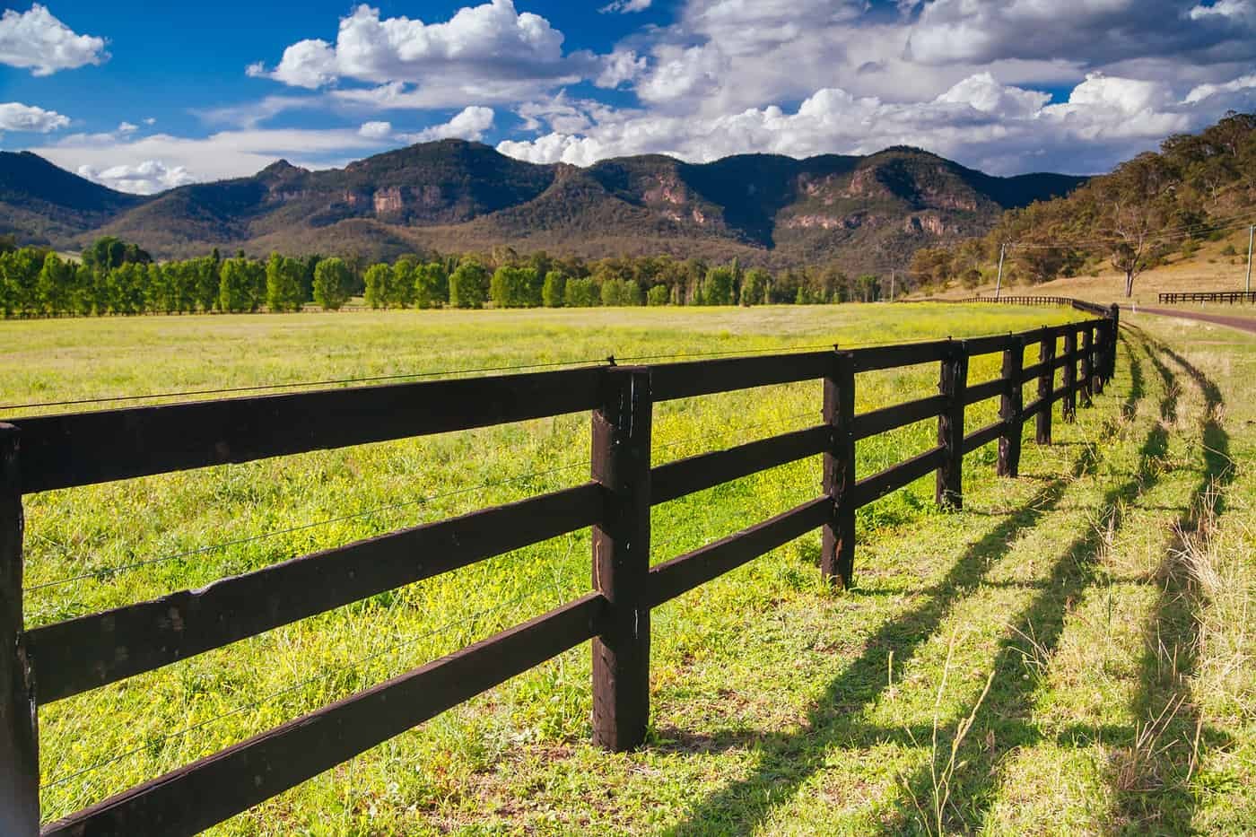 The Role of Fencing in Wildlife Conservation